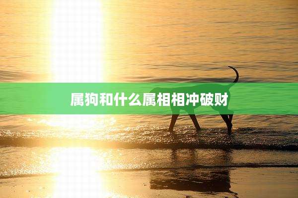 属狗和什么属相相冲破财