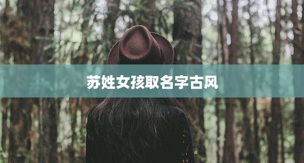 苏姓女孩取名字古风