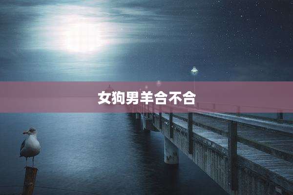 女狗男羊合不合