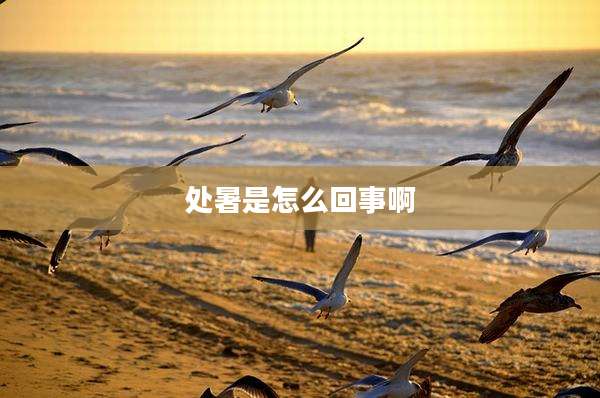 处暑是怎么回事啊