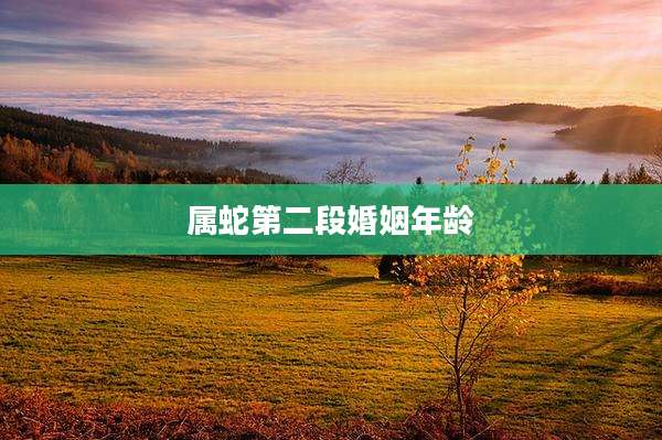 属蛇第二段婚姻年龄