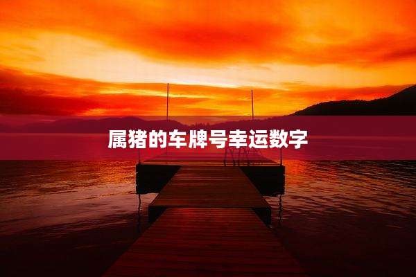 属猪的车牌号幸运数字