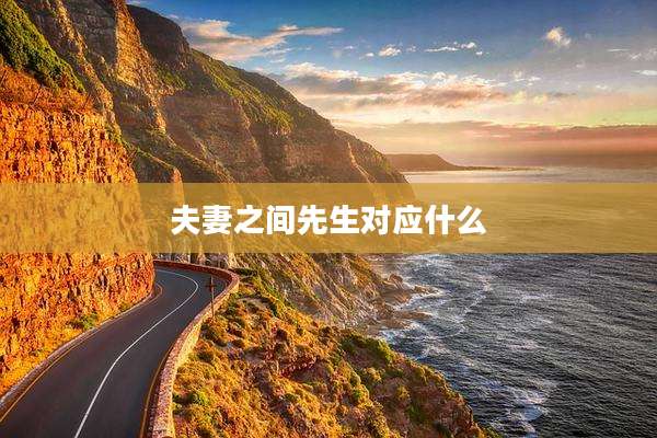 夫妻之间先生对应什么