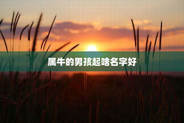 属牛的男孩起啥名字好