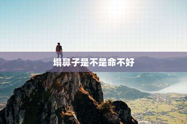 塌鼻子是不是命不好