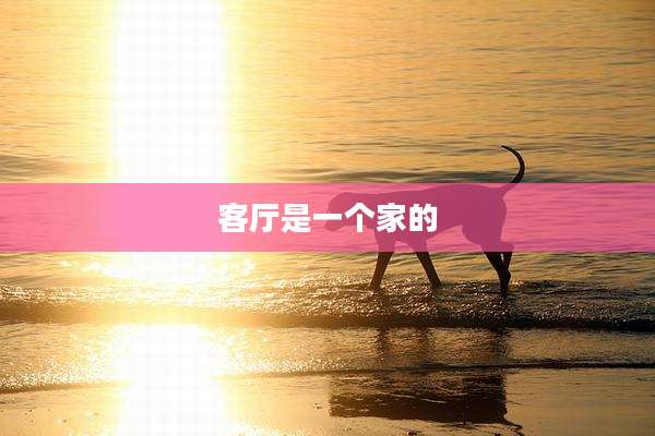客厅是一个家的