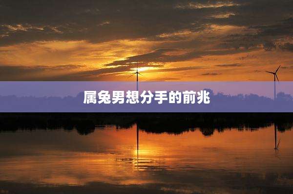 属兔男想分手的前兆