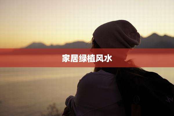 家居绿植风水
