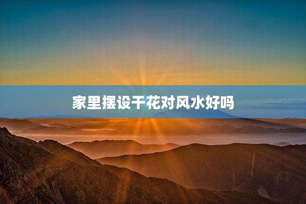 家里摆设干花对风水好吗