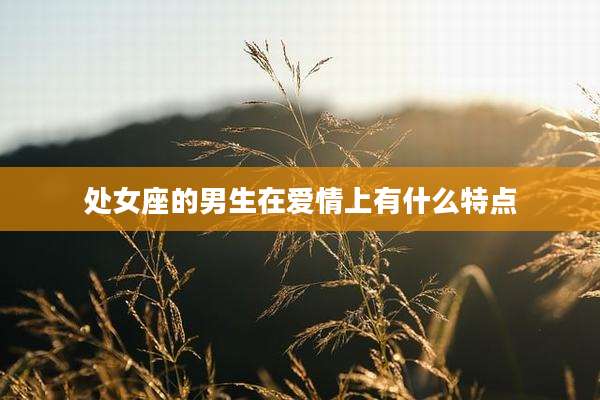 处女座的男生在爱情上有什么特点