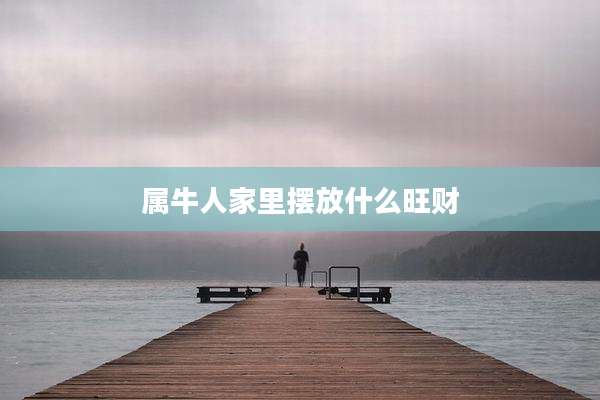 属牛人家里摆放什么旺财