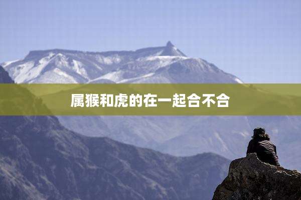 属猴和虎的在一起合不合