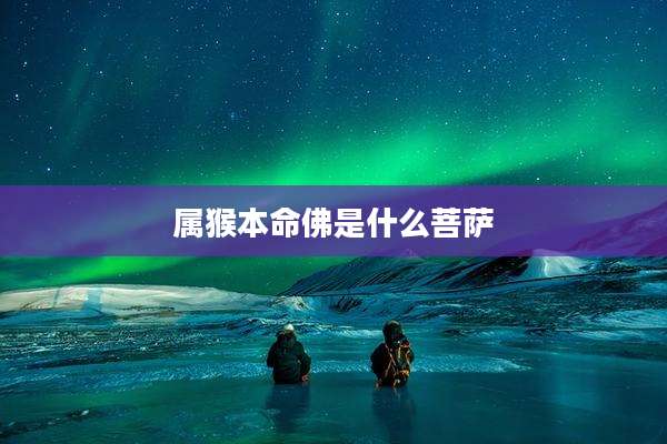属猴本命佛是什么菩萨