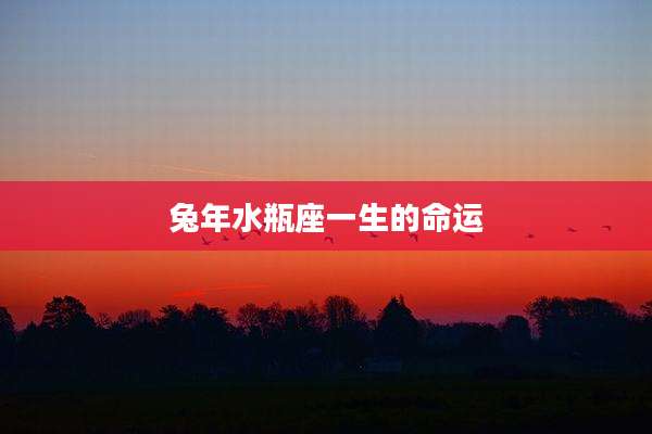 兔年水瓶座一生的命运
