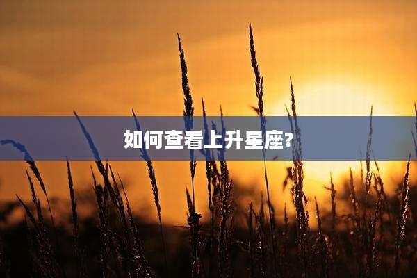 如何查看上升星座?