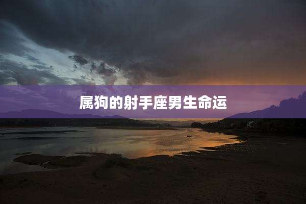 属狗的射手座男生命运