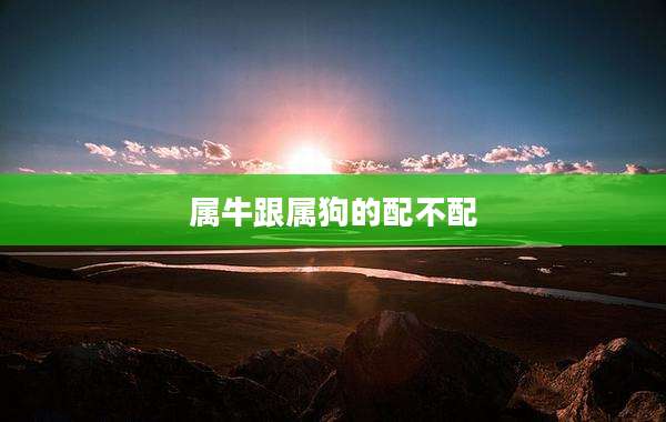 属牛跟属狗的配不配
