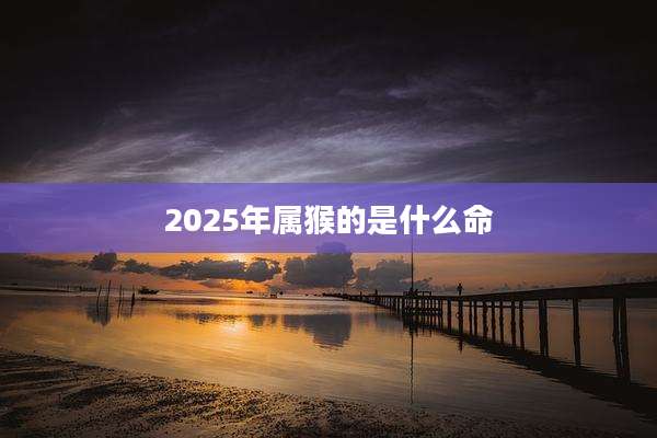 2025年属猴的是什么命