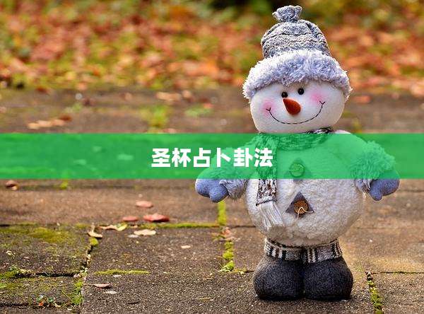 圣杯占卜卦法