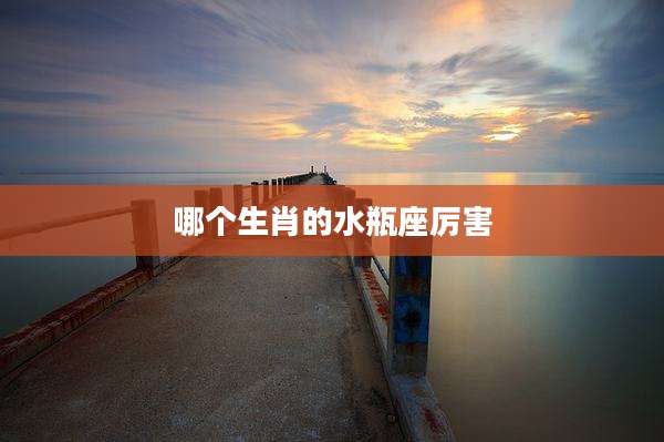 哪个生肖的水瓶座厉害