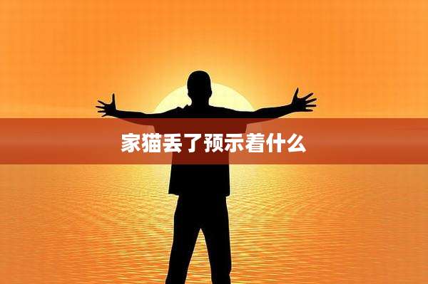 家猫丢了预示着什么