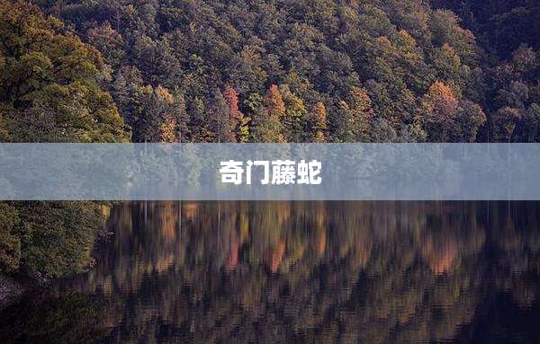奇门藤蛇