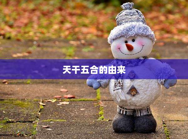 天干五合的由来