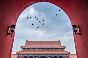 车牌号码选号字母组合怎么选 车牌字母怎么选好？