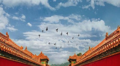 成都车牌价 成都车牌多少钱一个？