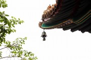 班里车牌流程 车牌怎么录入学校系统？