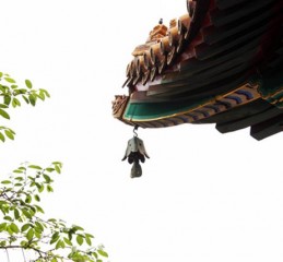广州车牌对调 广州车牌转移？