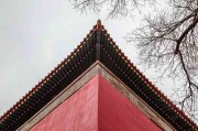 车牌磁力片 带车牌磁力？