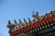 冀字母车牌 冀字车牌是哪个省的简称？